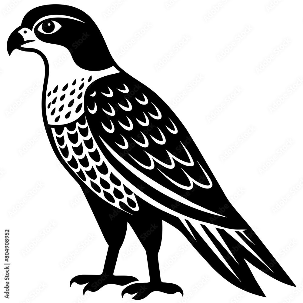 Fototapeta premium Falcon vector silhouette illustration