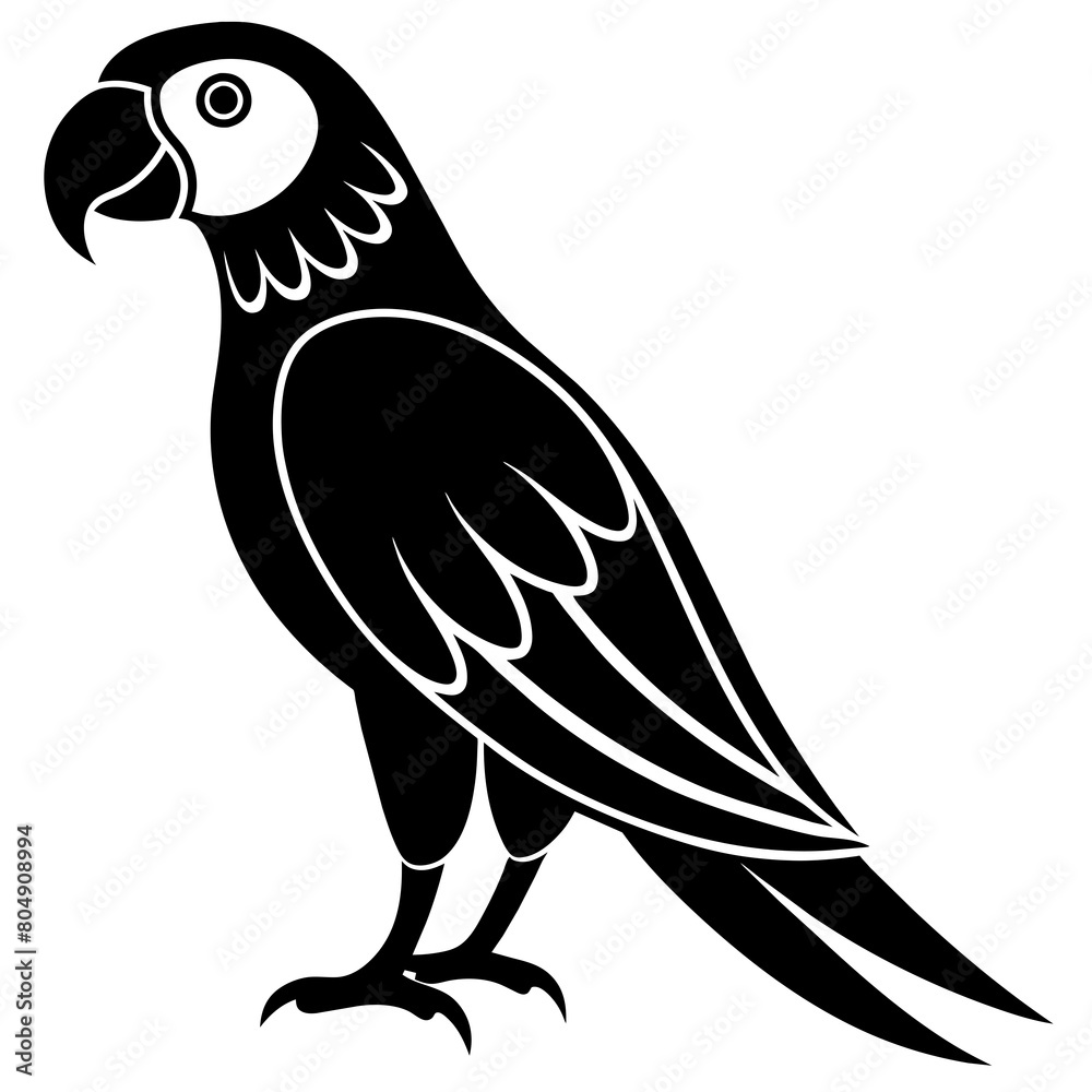 Obraz premium illustration of a parrot