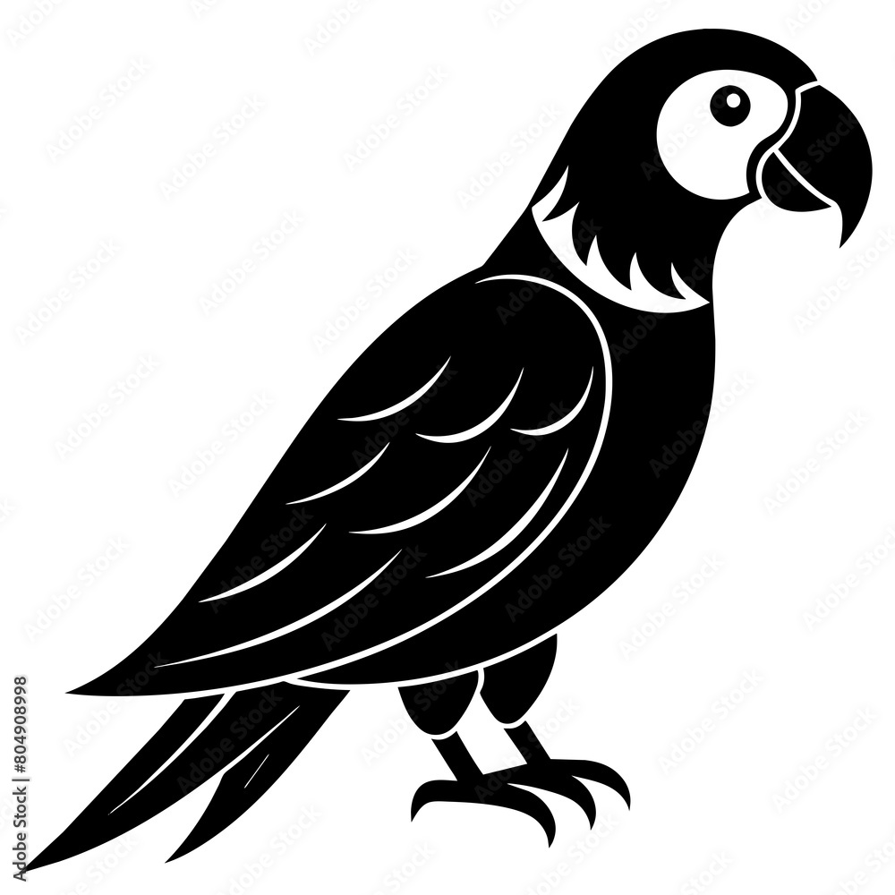Parrot vector icon silhouette illustration art Parrot vector icon silhouette illustration art