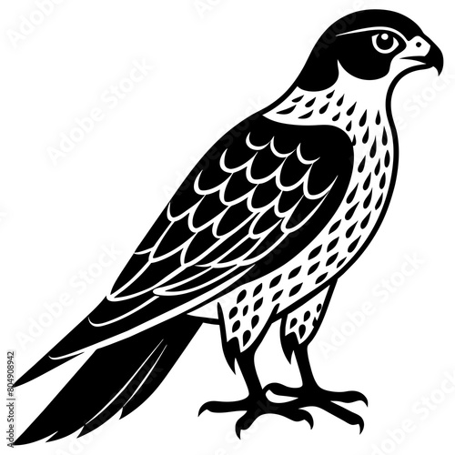 Falcon vector silhouette illustration icon