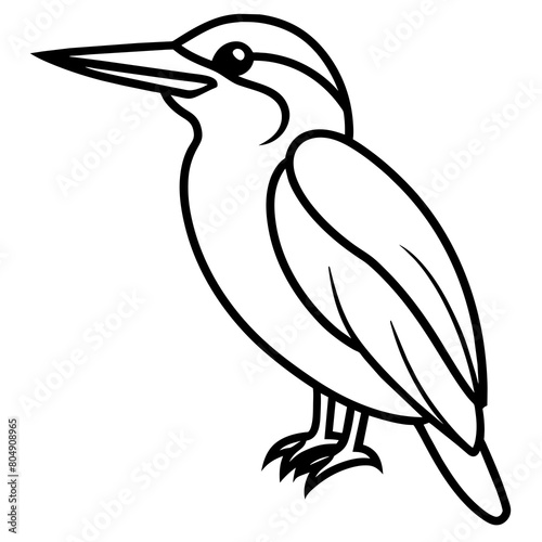 Kingfisher vector illustration line art