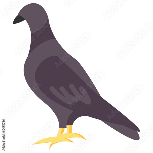 pigeon flat vector icon