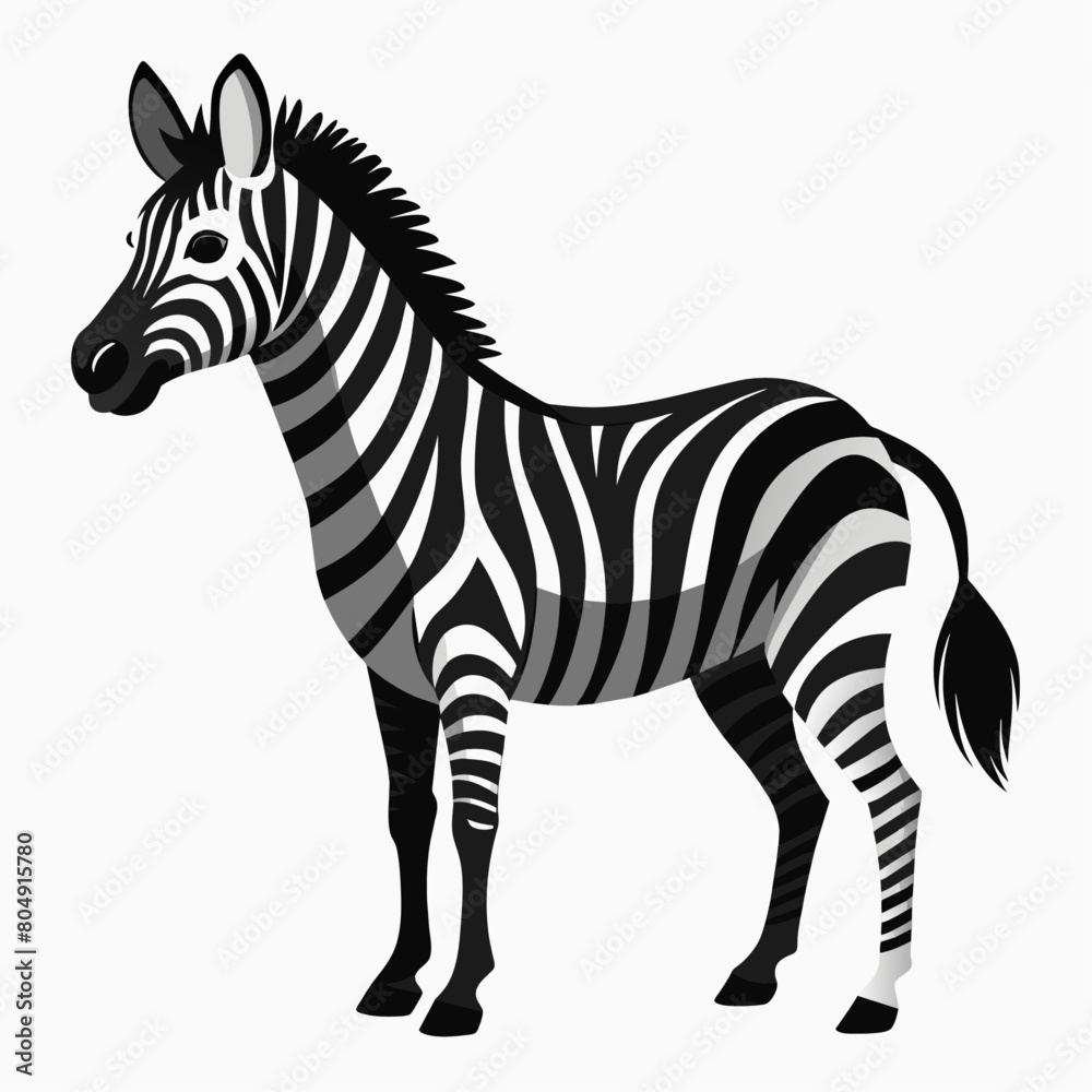 Fototapeta premium zebra vector art illustration flat style (16)
