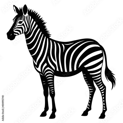 zebra vector art illustration flat style  5 