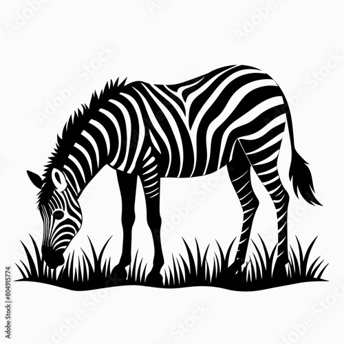 zebra vector art illustration flat style  11 