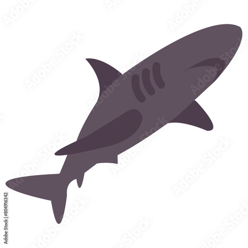 shark flat vector icon