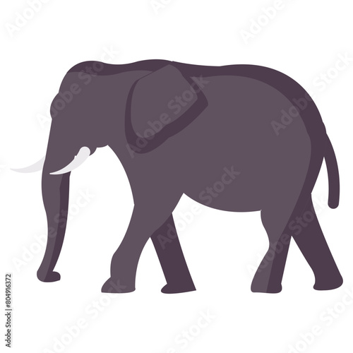 elephant flat vector icon photo