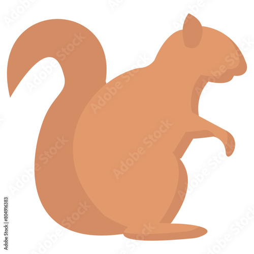 squirrel flat vector icon