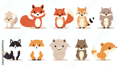 cute wild animals weasel squirrel raccoon Safari jung