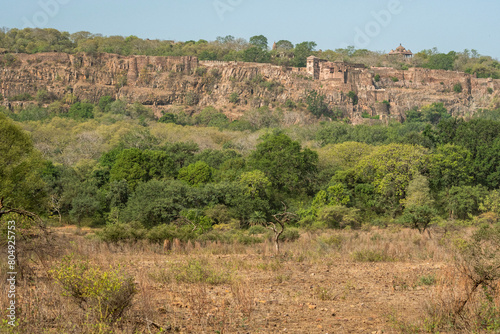 panoramic or scenic outside view of old ranthambore fort situated on hill or mountain surrounded by forest or tiger reserve in middle of ranthmbore national park sawai madhopur rajasthan india photo