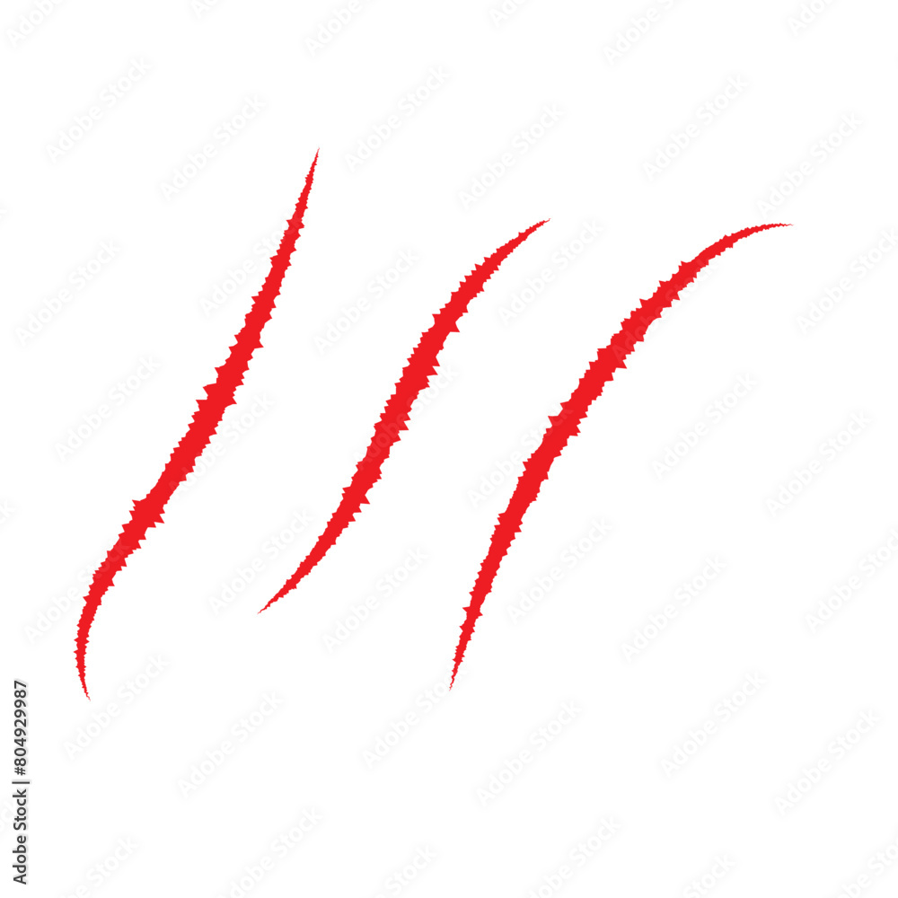 Bear paw claw marks, scratches of animal attack Bear paw claw marks, scratches of animal attack