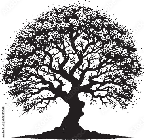 cherry tree  silhouette black color . white color background 