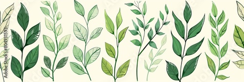 A seamless botanical watercolor illustration featuring a variety of green leaves  perfect for backgrounds  textiles  and eco-friendly concepts