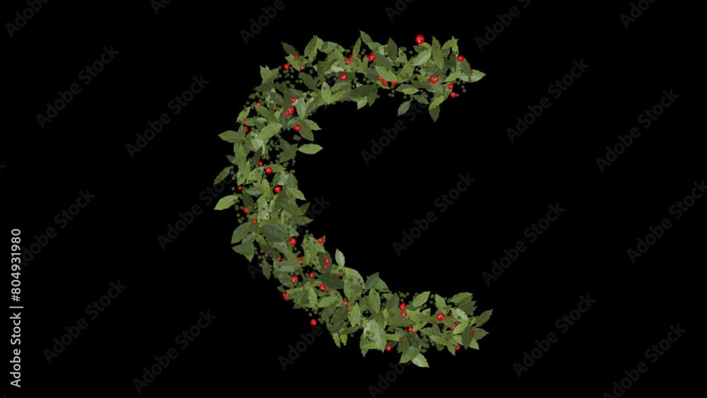 Nature's Alphabet : A Stunning Display of Letters C Formed by Vibrant Red Berries and Lush Green Leaves, Alphabet letters are meticulously crafted from vibrant red berries and lush green leaves.