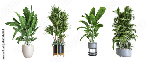 Isolated green plant in 3d rendering on white