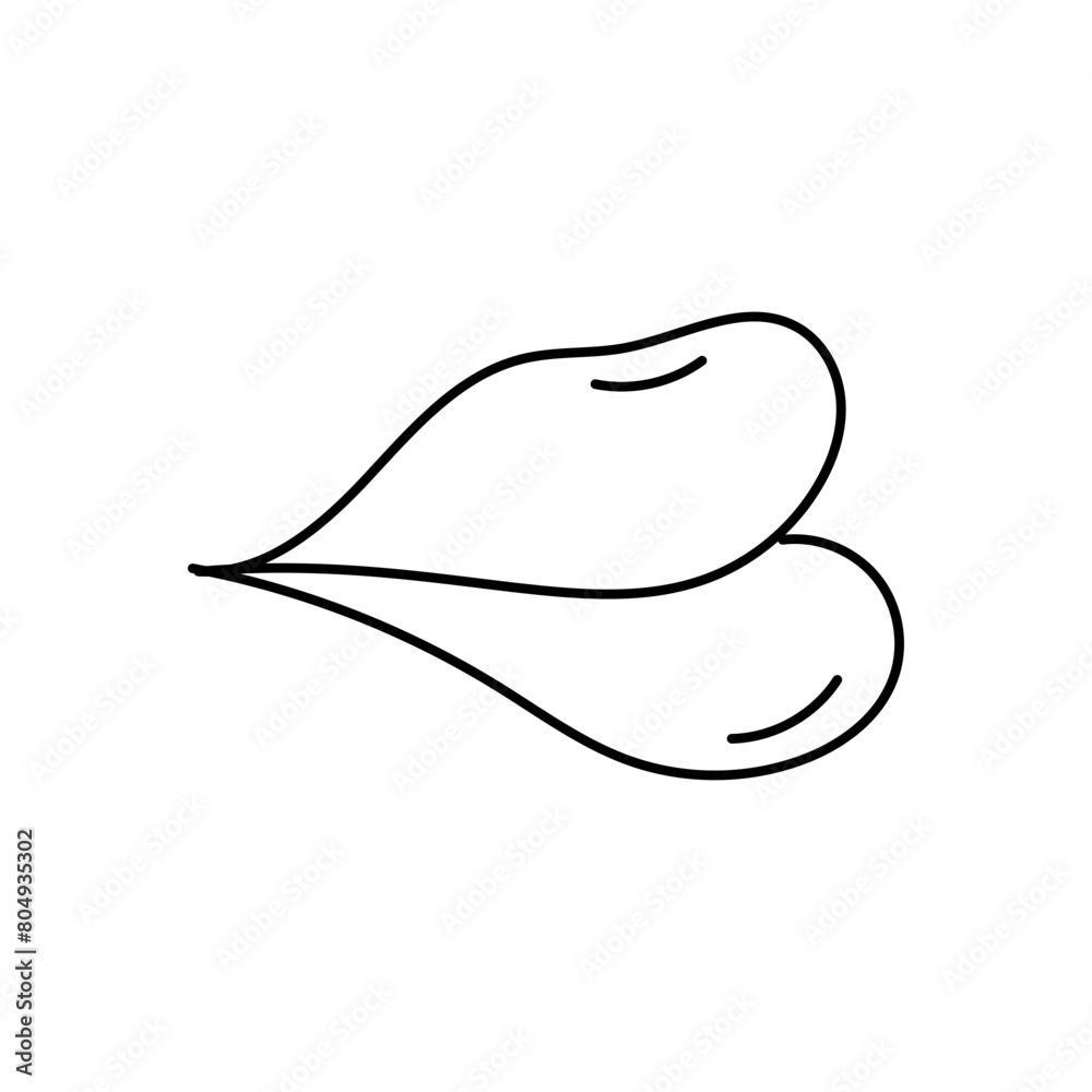Lippen Lippen