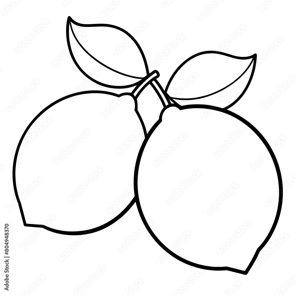 illustration of an lemon on white illustration of an lemon on white
