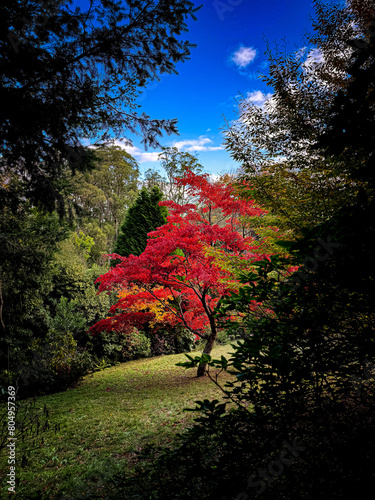 Landscapes