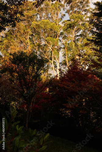 Landscapes