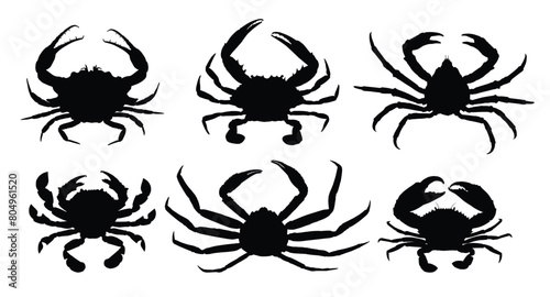 The set silhouettes of sea crabs.