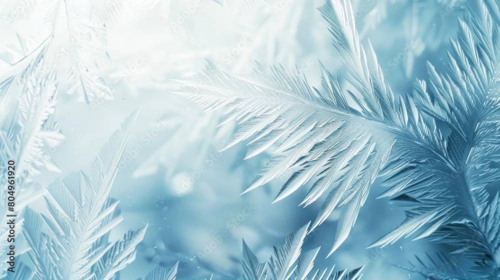 A beautiful close-up photograph of frost on a window. The delicate ice crystals are formed in a variety of shapes and sizes, creating a stunning and unique work of art. A beautiful close-up photograph of frost on a window. The delicate ice crystals are formed in a variety of shapes and sizes, creating a stunning and unique work of art.