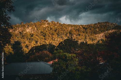 Landscapes