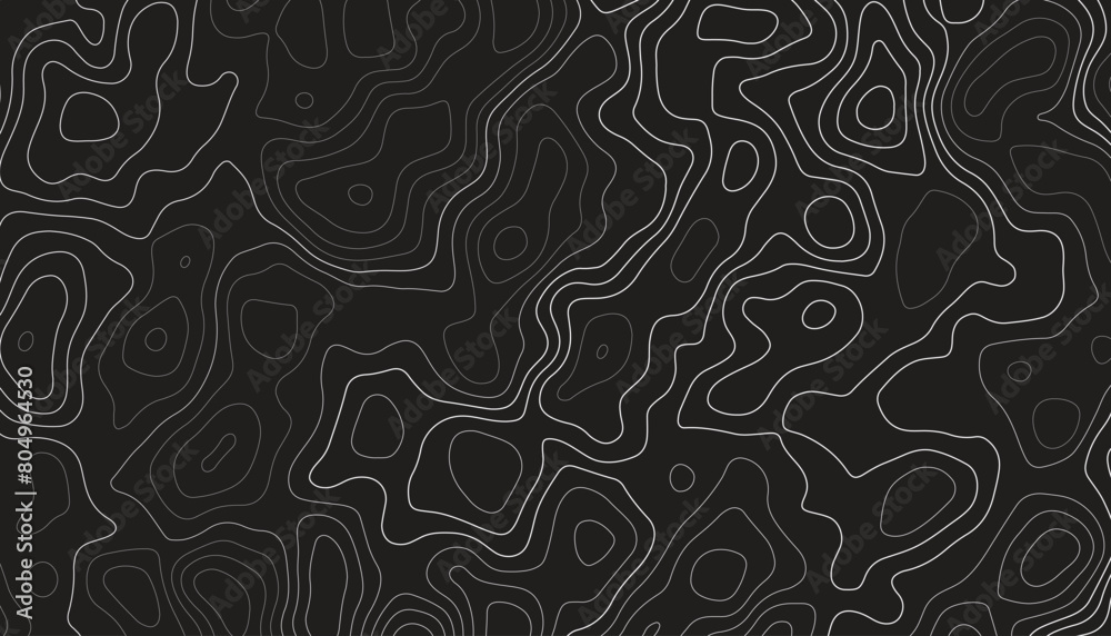 abstract pattern with lines. background of the topographic map. elevation contouring outline cartography texture. geographic abstract grid. futuristic wireframe lands. black and white seamless pattern