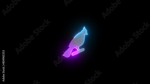 Neon bird icon cyan purple color glowing animated black background