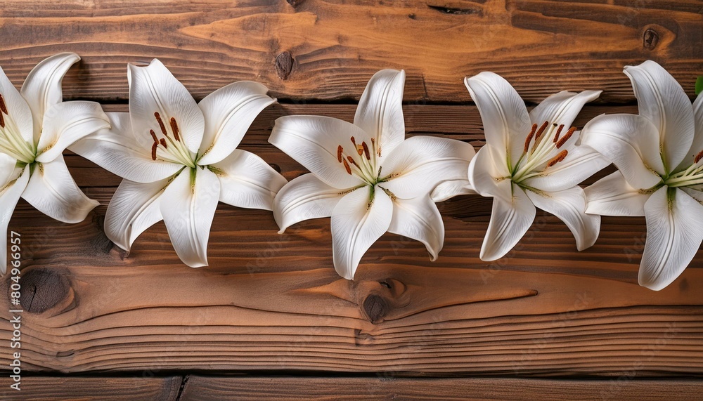 Blossoming Serenity: White Lilies on Rustic Wood - Wide Panoramic View Blossoming Serenity: White Lilies on Rustic Wood - Wide Panoramic View