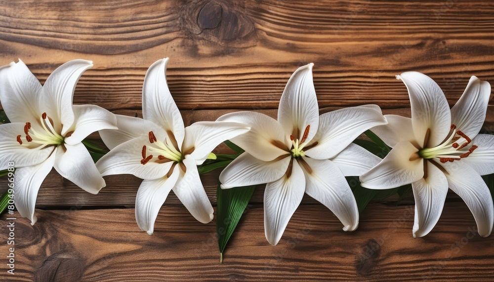 Tranquil Bloom: White Lilies on Wooden Background - Panoramic View Tranquil Bloom: White Lilies on Wooden Background - Panoramic View