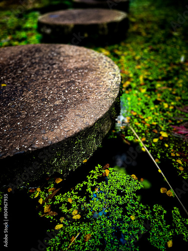Landscapes