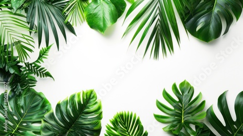 Collection of tropical leaves foliage plant in green color with space clean isolated background