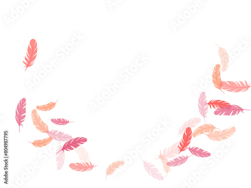 Fluffy twirled feathers on white design.