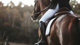 close-up of dressage horse with rider