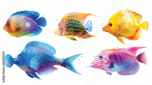 Multi colored fish swimming in underwater motion over