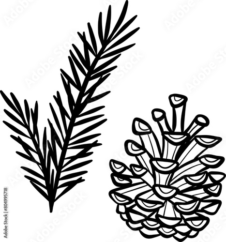 Hand drawn pine and pine cone illustration, vector clip art set, isolated