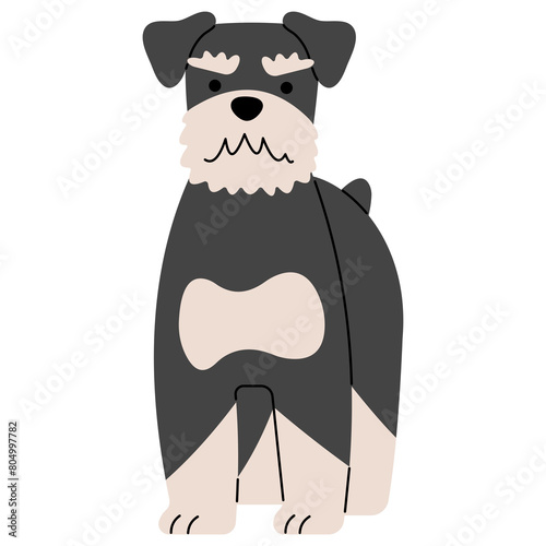 Schnauzer cute, png illustration.