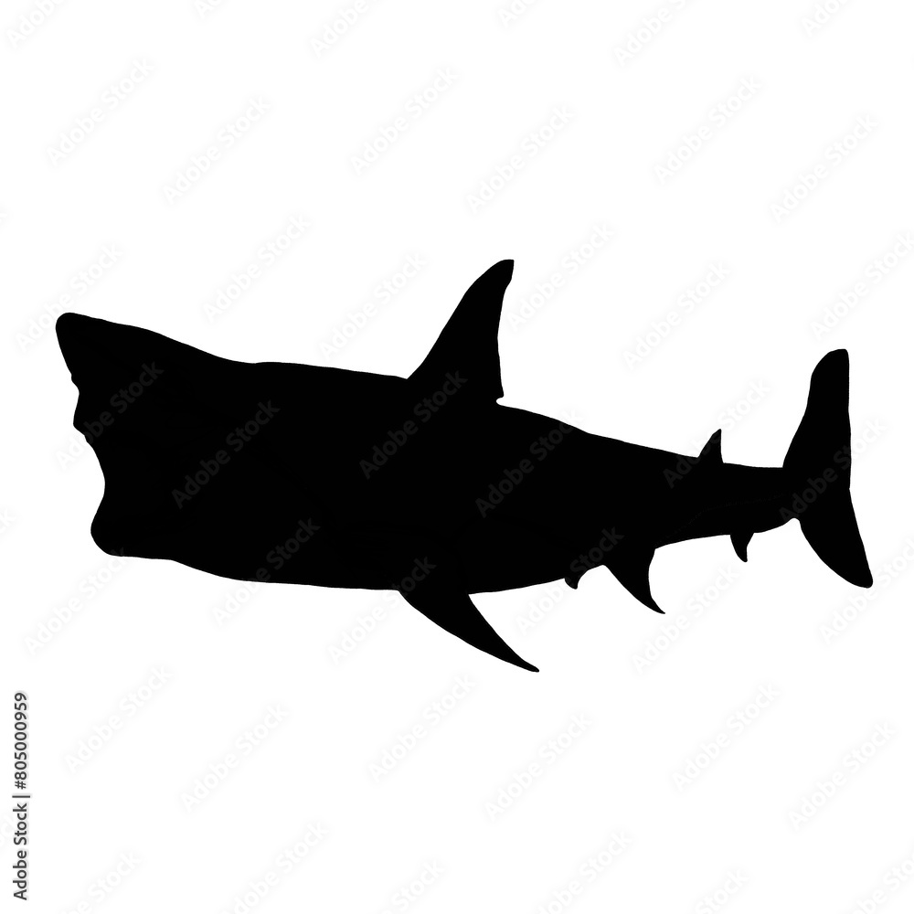 Obraz premium Black Shark Drawing | Shark Illustration | Shark Clip Art