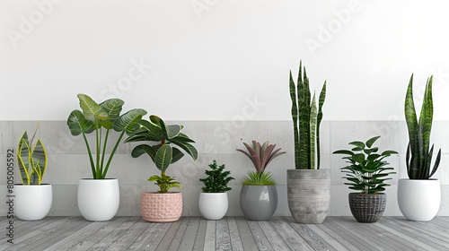 Assorted indoor plants in modern pots lined up on wooden floor against a white wall. AI generated interior decor. AI