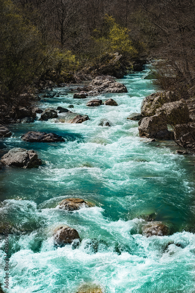 stream in the forest with rocks in water stream in the forest with rocks in water