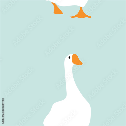 little goose in baby blue background  photo