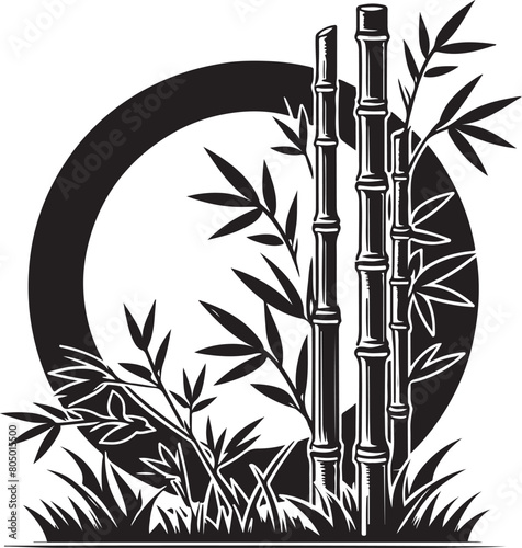 Bamboo Illustration