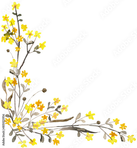 Watercolor hand panted wildflower PNG transparent design element