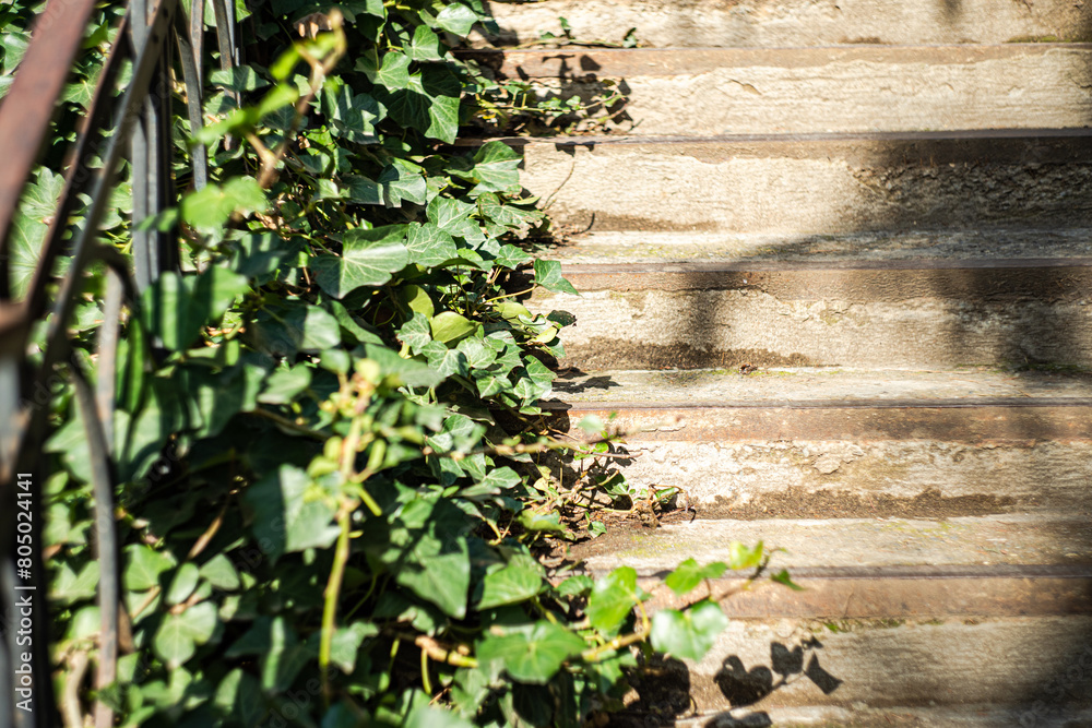 Stairs in sunny day with shadows Stairs in sunny day with shadows