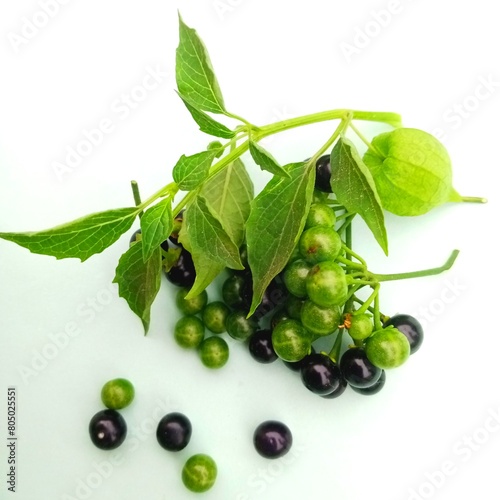 Black and green berries covered with leaves. Berries, especially raspberries, blueberries, strawberries, and blackberries, are high in soluble fiber, which attaches to cholesterol in your ...