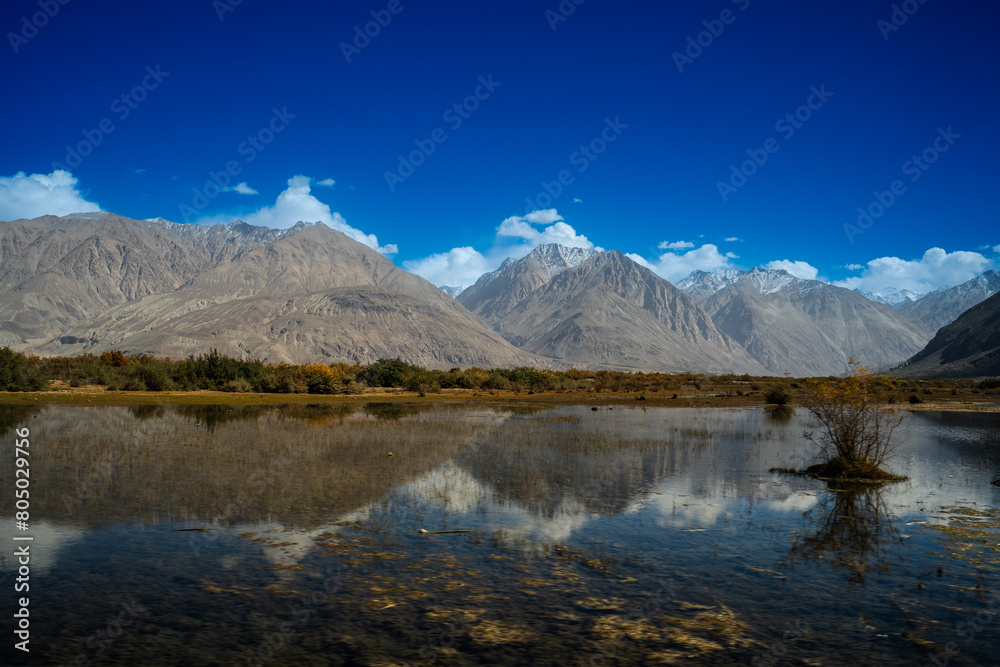 A serene asphalt road winds through a colorful autumn landscape in the Himalayas, flanked by tall golden poplar trees. A serene asphalt road winds through a colorful autumn landscape in the Himalayas, flanked by tall golden poplar trees.