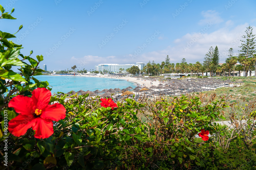Landscape with Nissi beach, Ayia Napa, Cyprus island