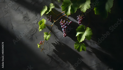 cep de vigne avec une grappe de raisin devant un mur 