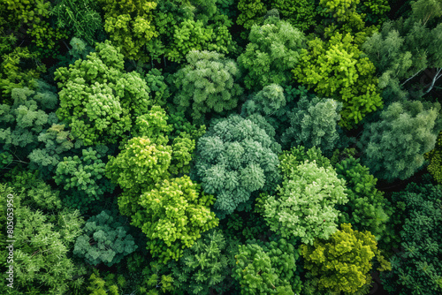 Overhead drone shot showcasing a vibrant array of green hues in a thick forest canopy.. AI generated.