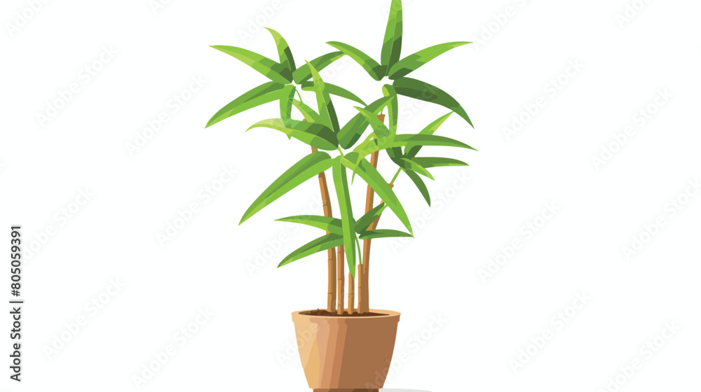 Bamboo plant in pot isolated on white background Vector
